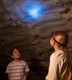 Bosch Mini Pandelampe - Legetøj - 6,5x4 cm - Grøn