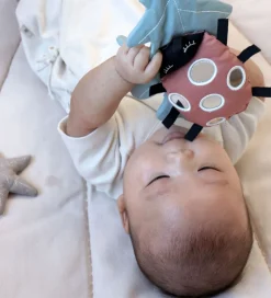 Cam Cam Aktivitetslegetøj - Lady Bug