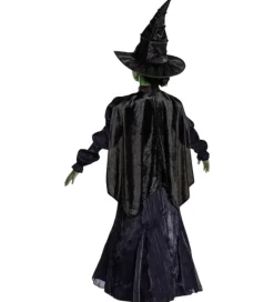 Disguise Udklædning - Wicked - Elphaba