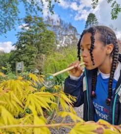 Dr Zigs Sæbeboblesæt - Bubble Pollinator Kit