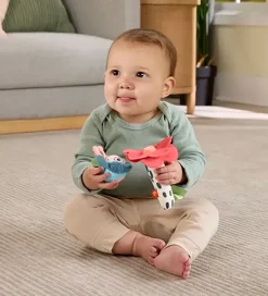 Fisher-Price Rangle - Planet Friends Shake 'n Rattle Bi