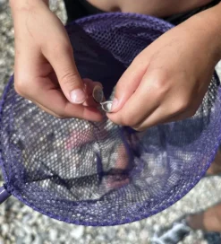 Follow the Duck Net - Telescopic Net - Dark Purple