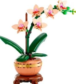LEGO® Botanicals - Mini-Orkidé 10343 - 274 Dele