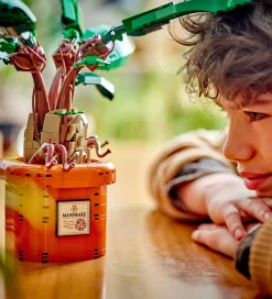 LEGO® Harry Potter - Mandrake 76433 - 579 Dele