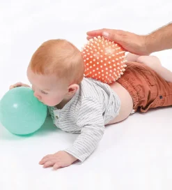 Ludi Sansebolde - 2 stk - Multi