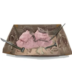 4M KidzLabs - Udgravning Pteranodon