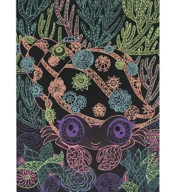 Nebulous Stars Malebog m. Tuscher - Sorte Sider - Coralia