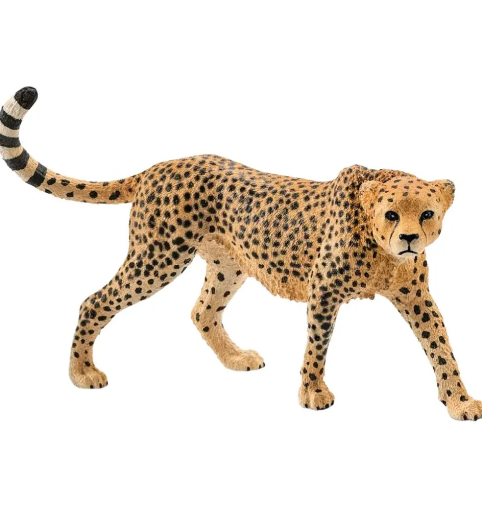 Schleich Wild Life - H: 5 cm - Gepard 14746