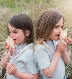 The Zoofamily Walkie Talkies - Dino Pink